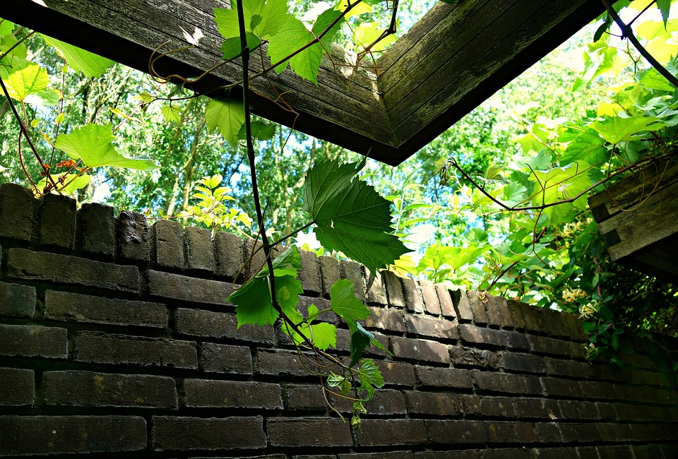 pergola bioclimatique