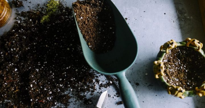 jardinage-pots-des-sols-scoop